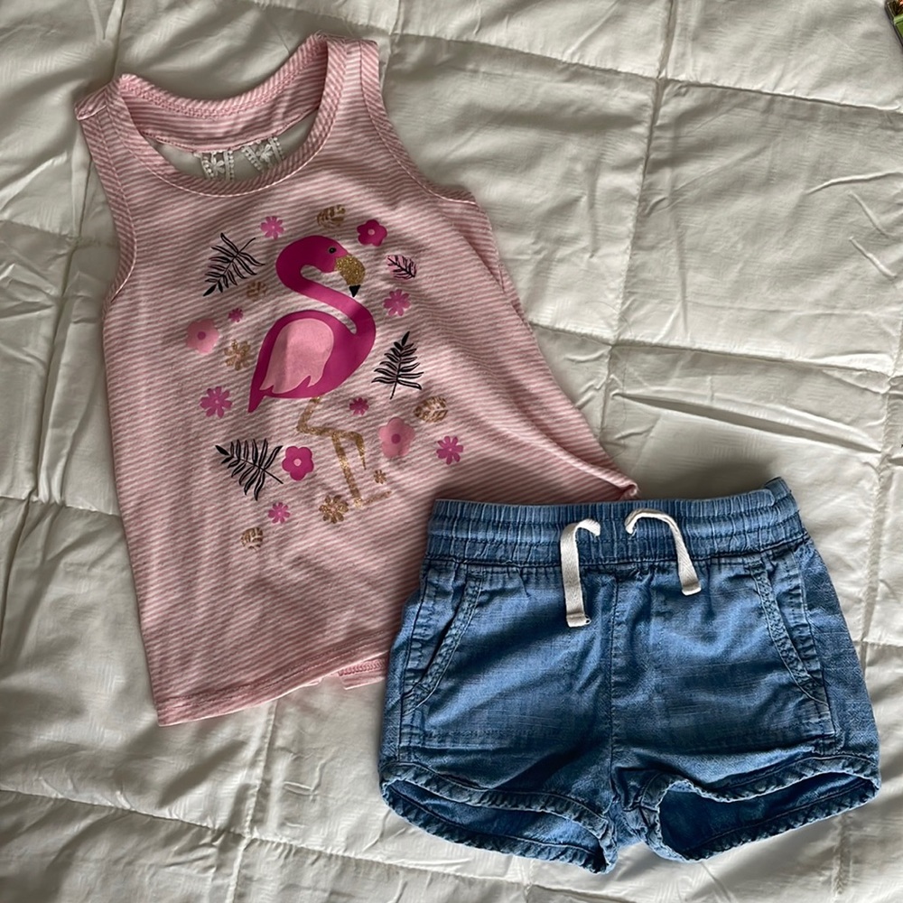 Toddler Girls Outfit - Size 2T